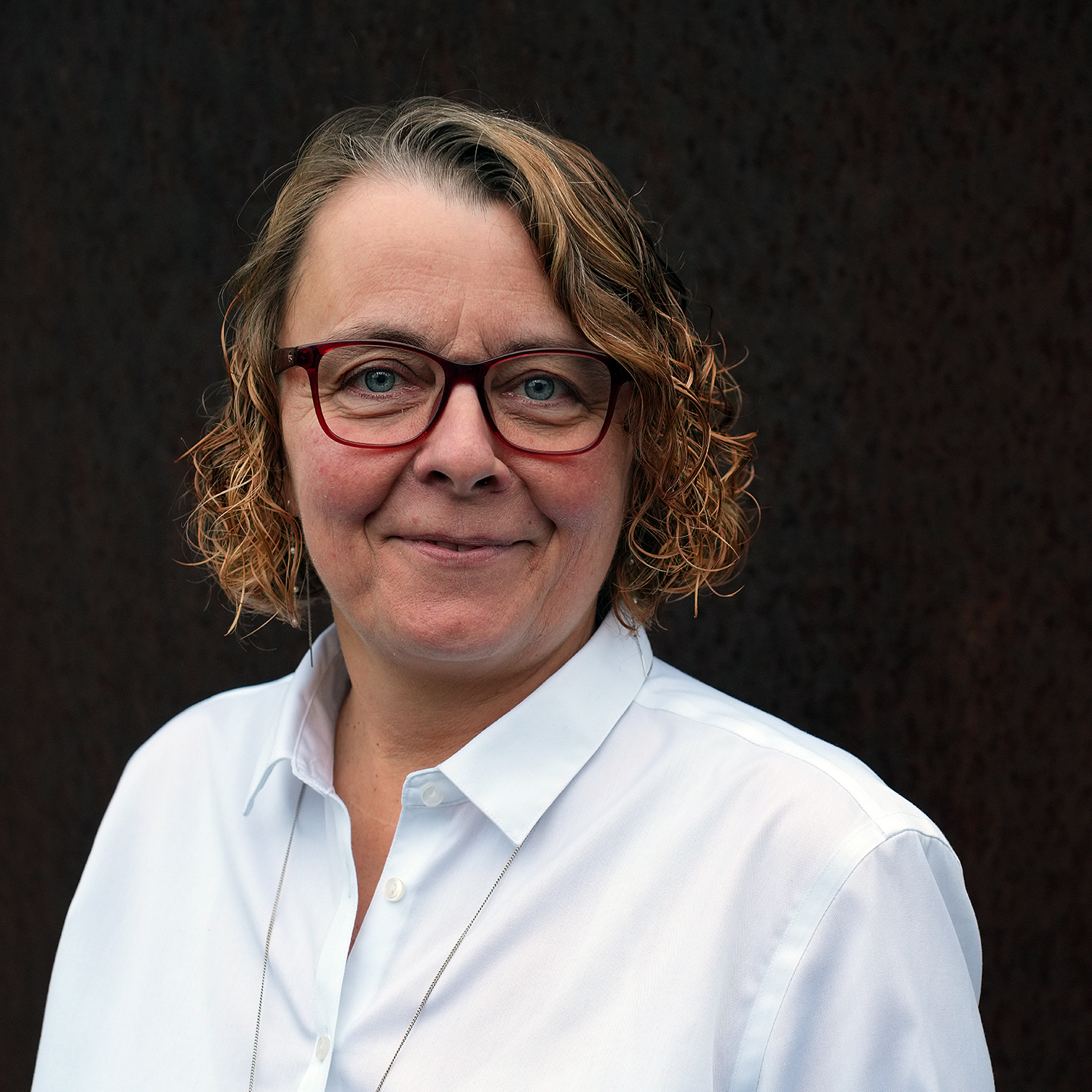 PLPE november 2024, hvid1